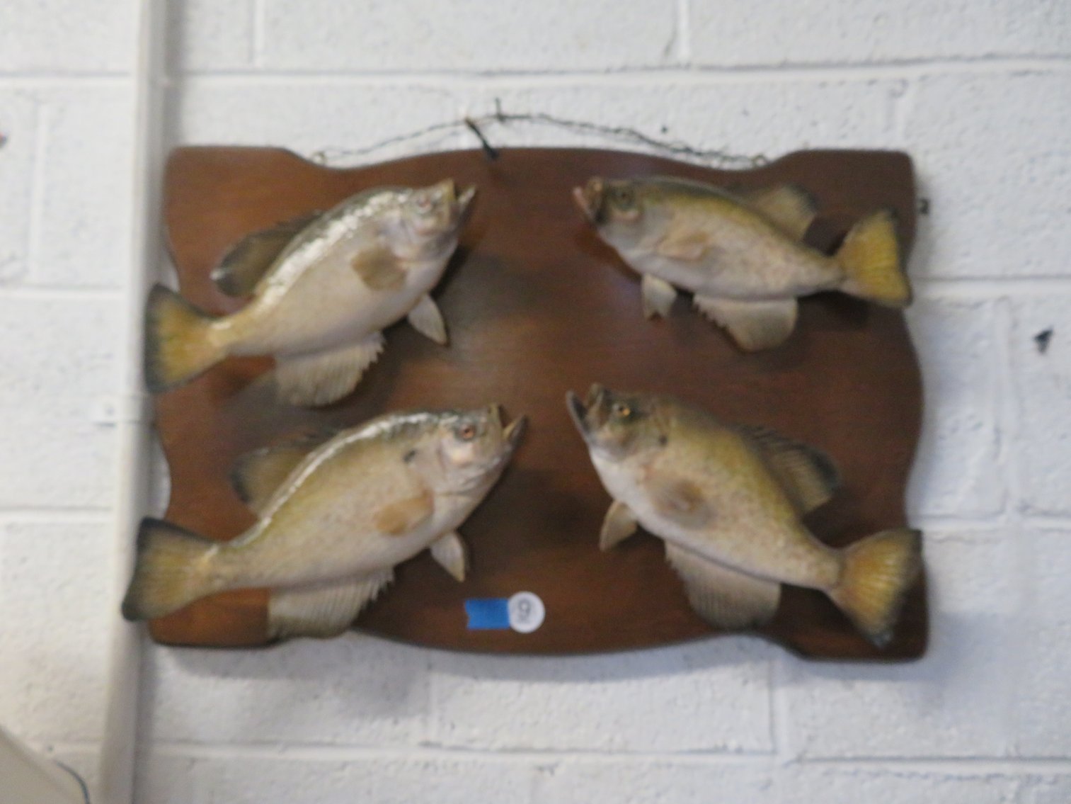 Image for August 20th Antiques and Collectibles