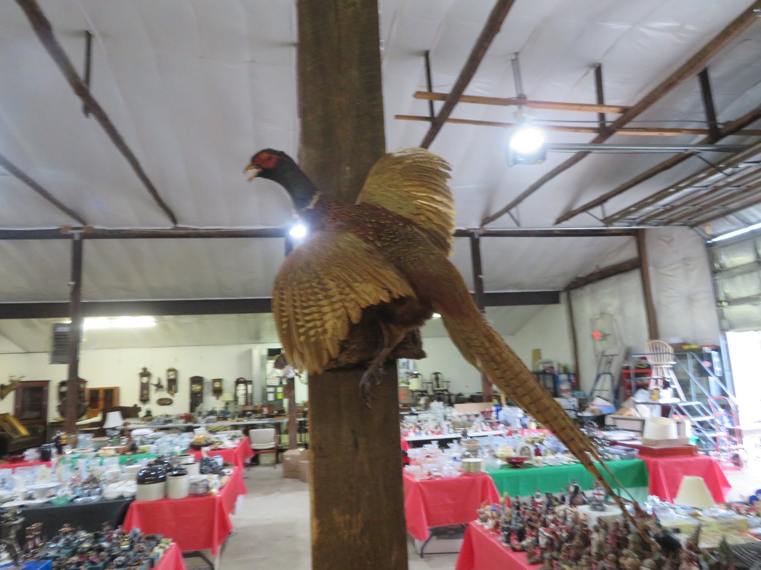 Image for August 20th Antiques and Collectibles