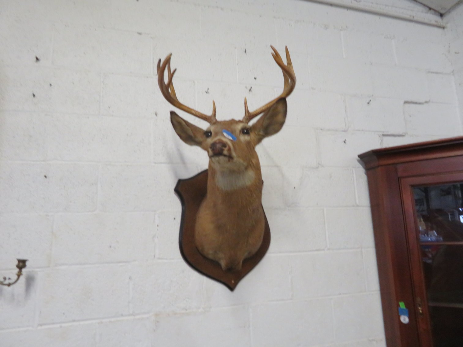 Image for August 20th Antiques and Collectibles