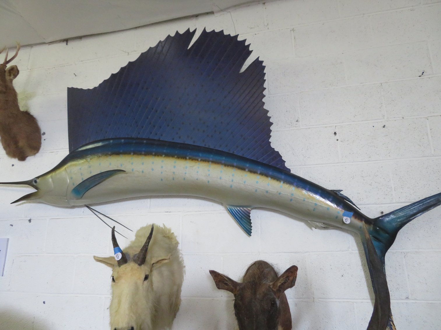 Image for Sportsman and Tremendous Taxidermy Sale