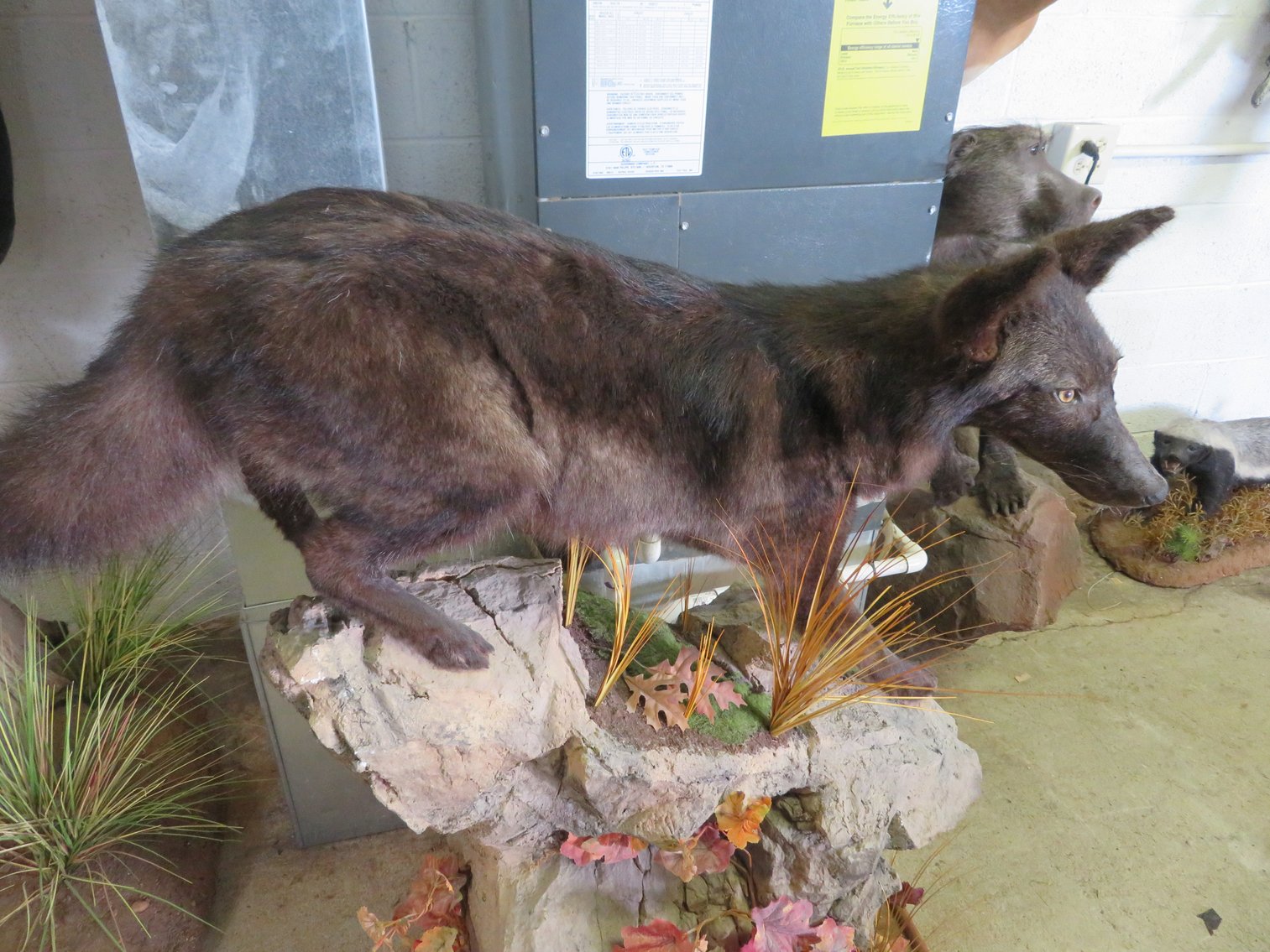 Image for Sportsman and Tremendous Taxidermy Sale