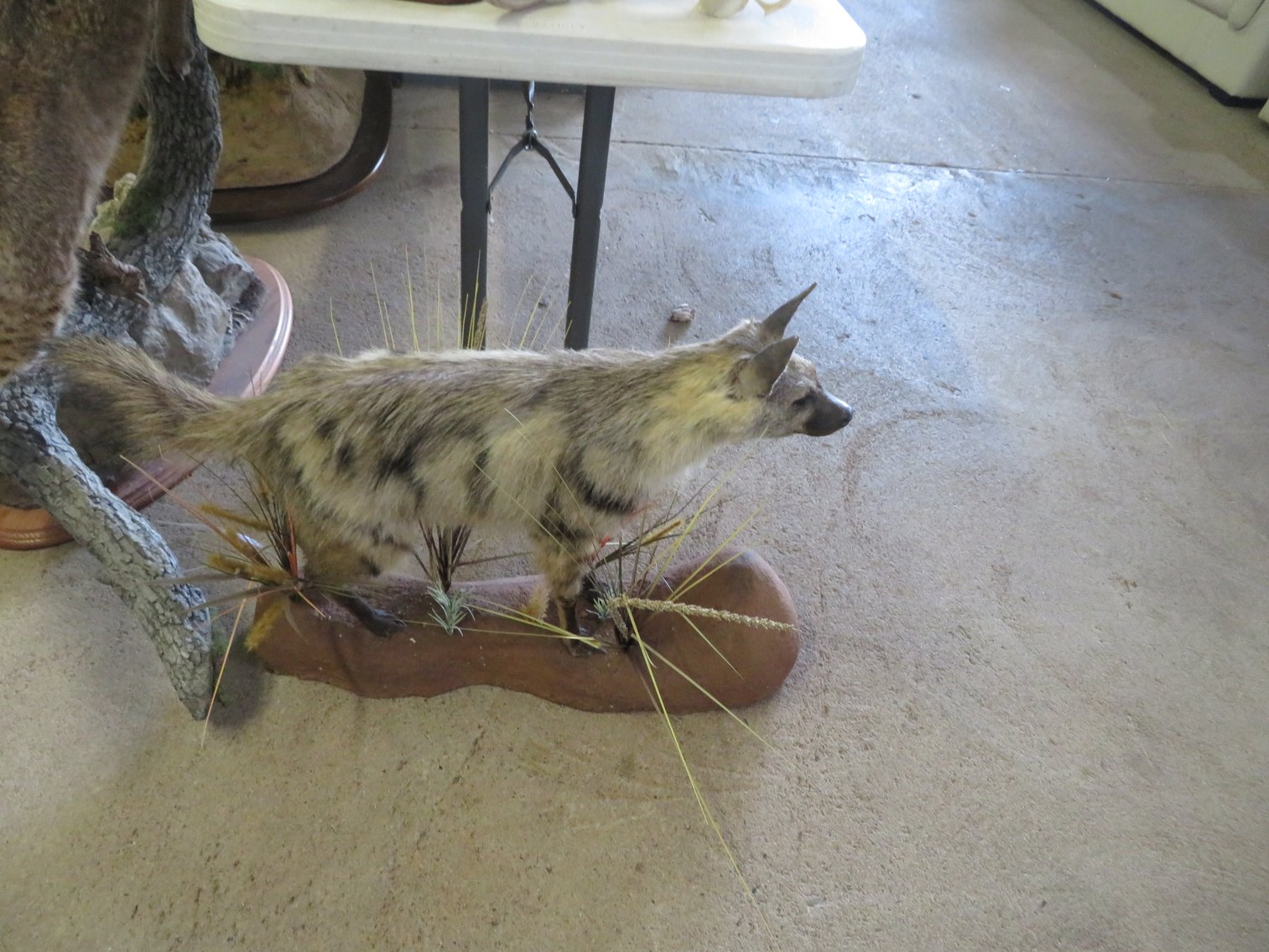 Image for Sportsman and Tremendous Taxidermy Sale