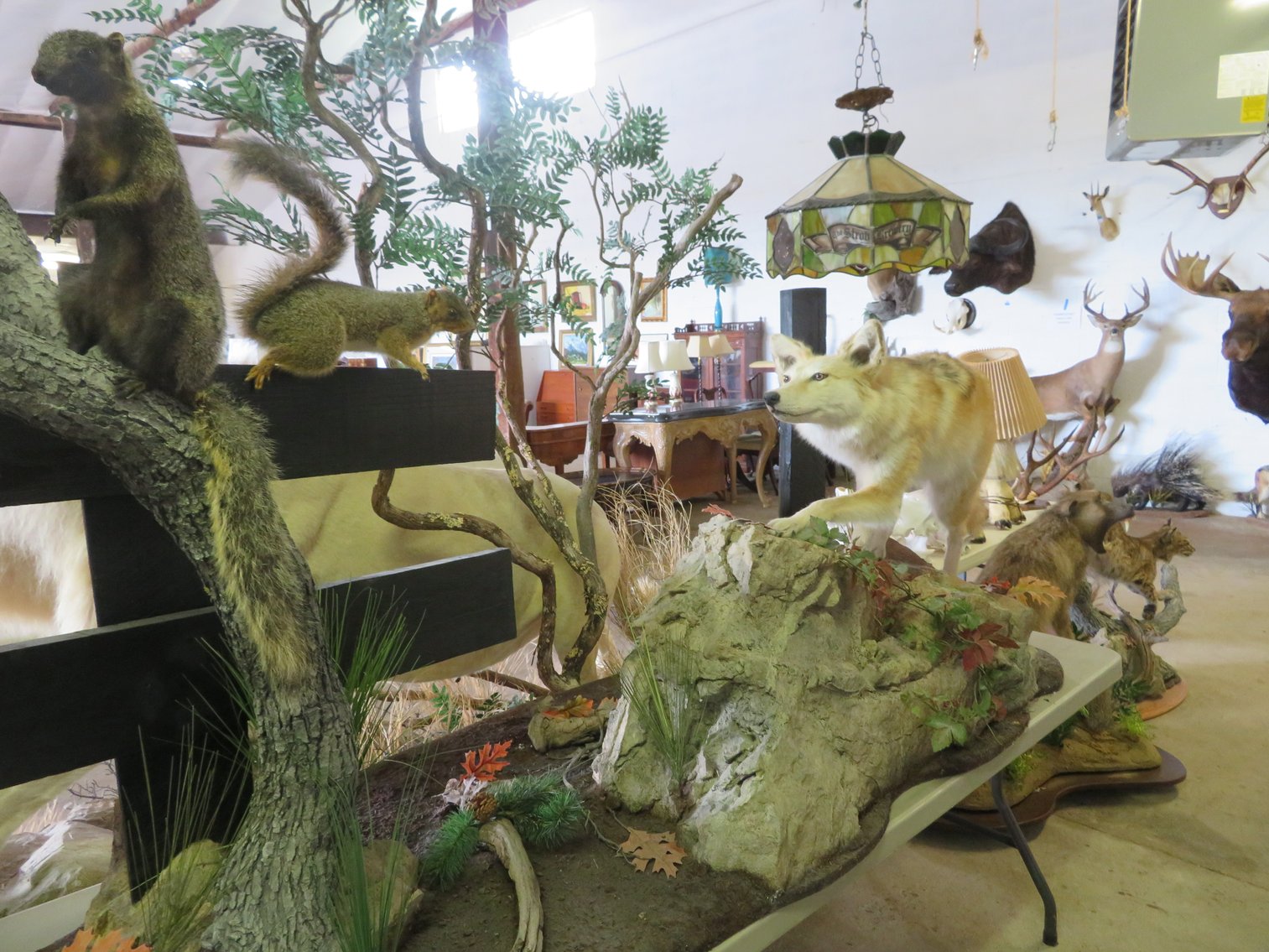 Image for Sportsman and Tremendous Taxidermy Sale