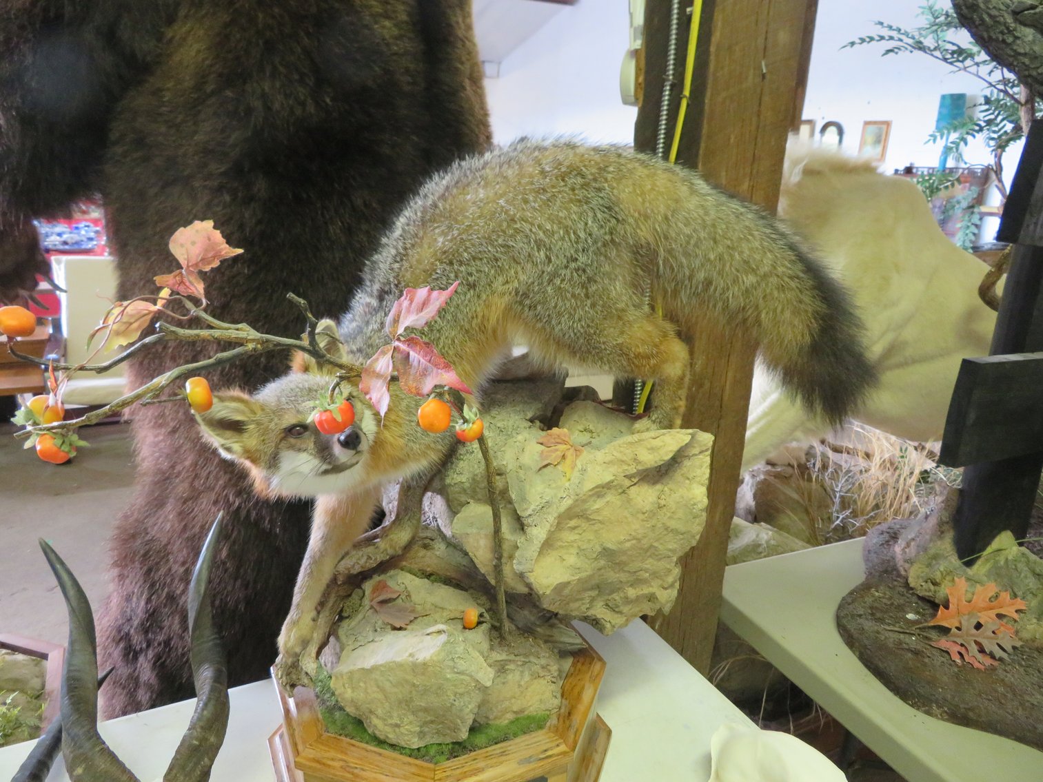 Image for Sportsman and Tremendous Taxidermy Sale