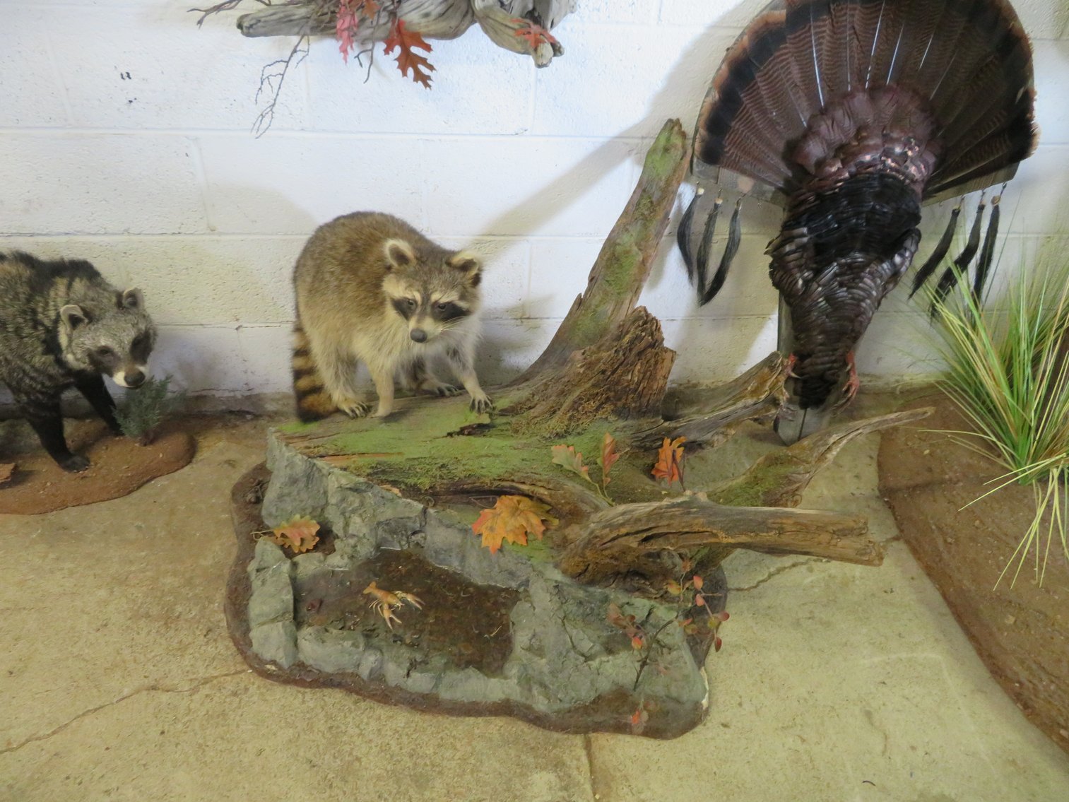 Image for Sportsman and Tremendous Taxidermy Sale