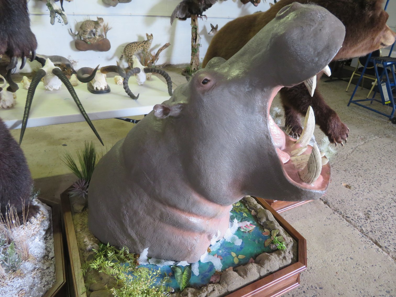 Image for Sportsman and Tremendous Taxidermy Sale