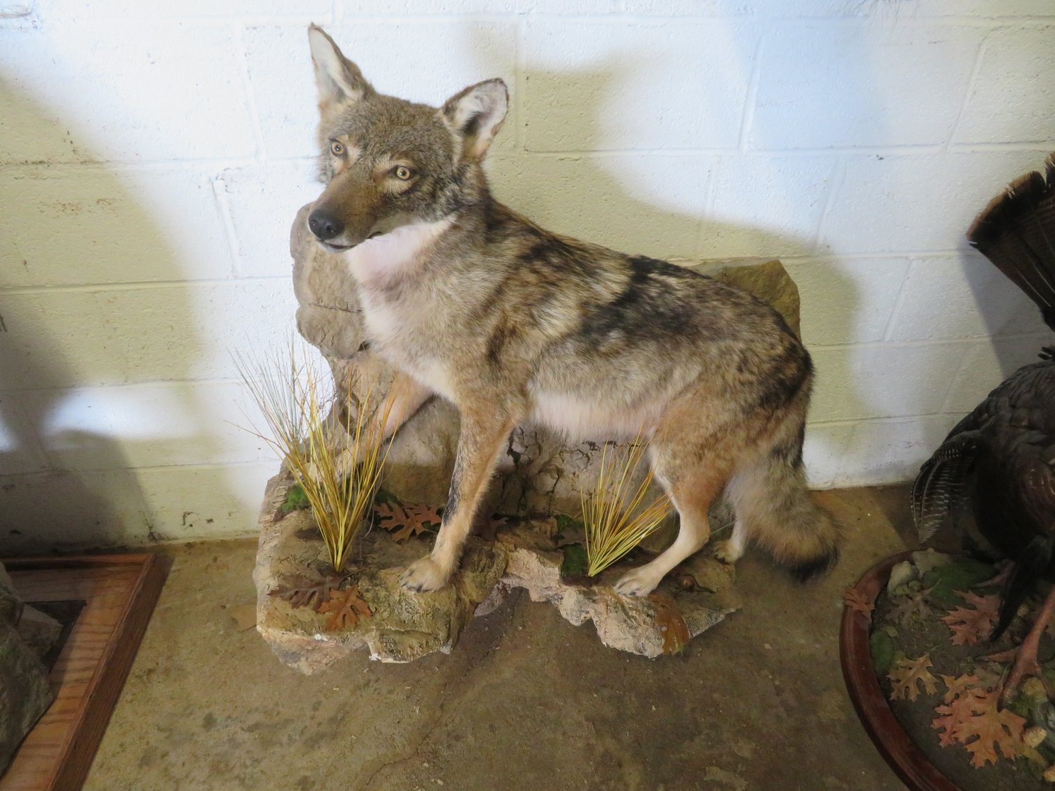Image for Sportsman and Tremendous Taxidermy Sale