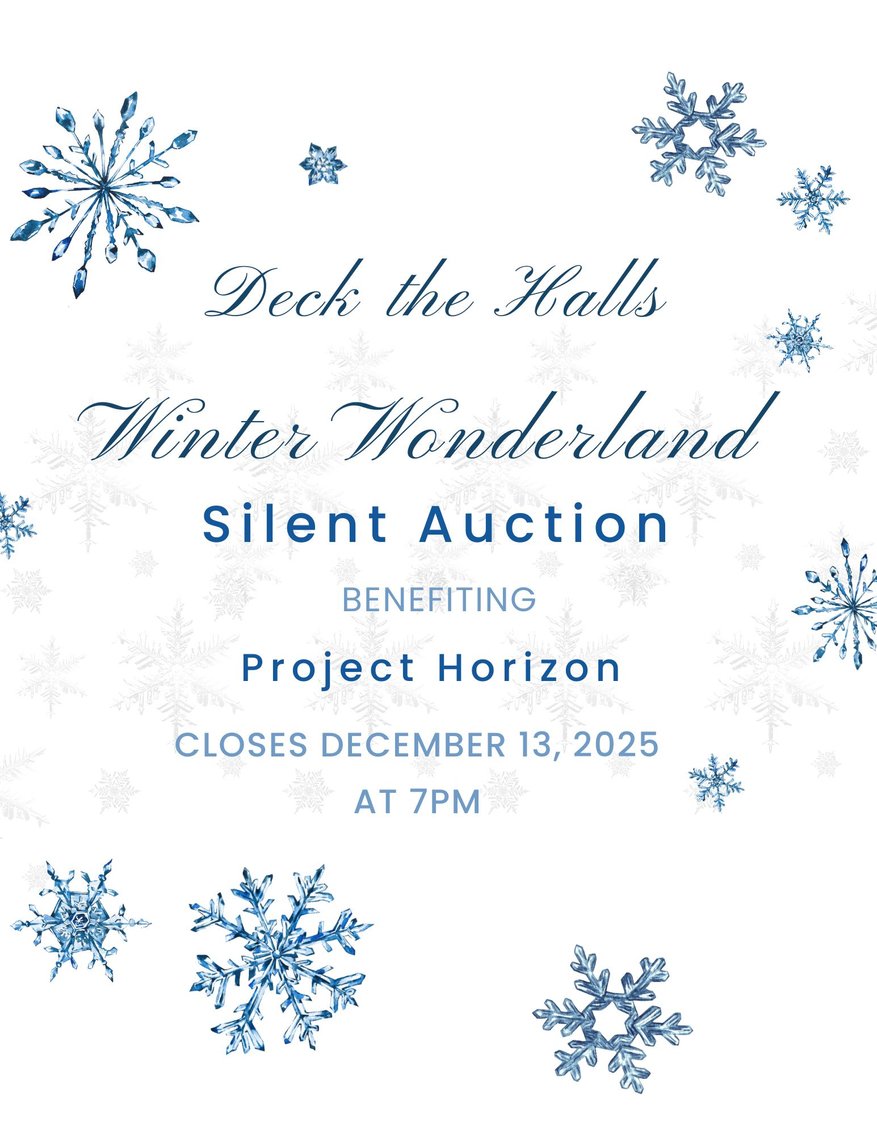 Image for Project Horizon