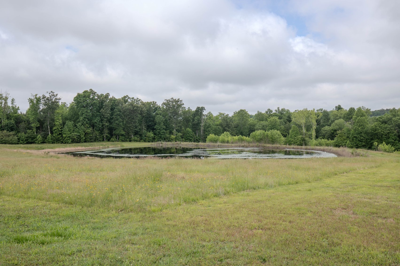 Image for SOLD: $525,000 — Pre-Auction Success for Amelia County Country Home