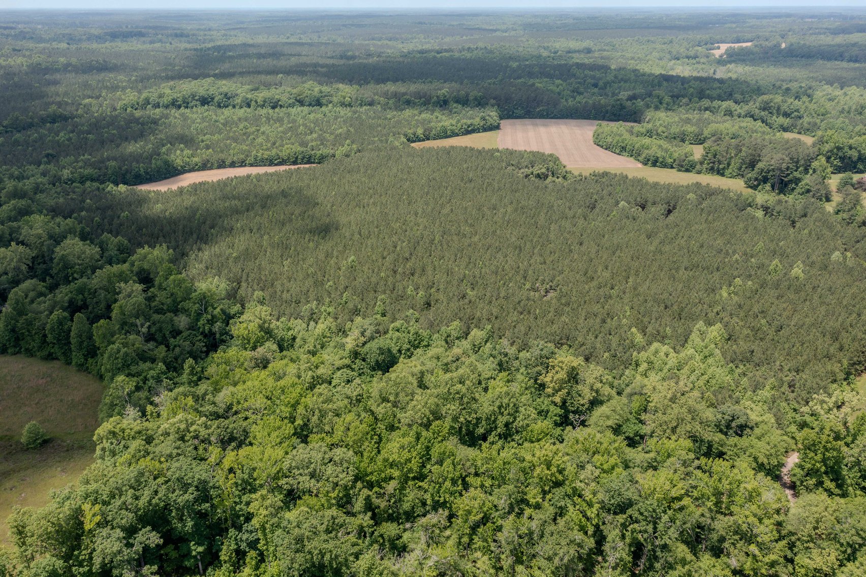 Image for SOLD: $525,000 — Pre-Auction Success for Amelia County Country Home