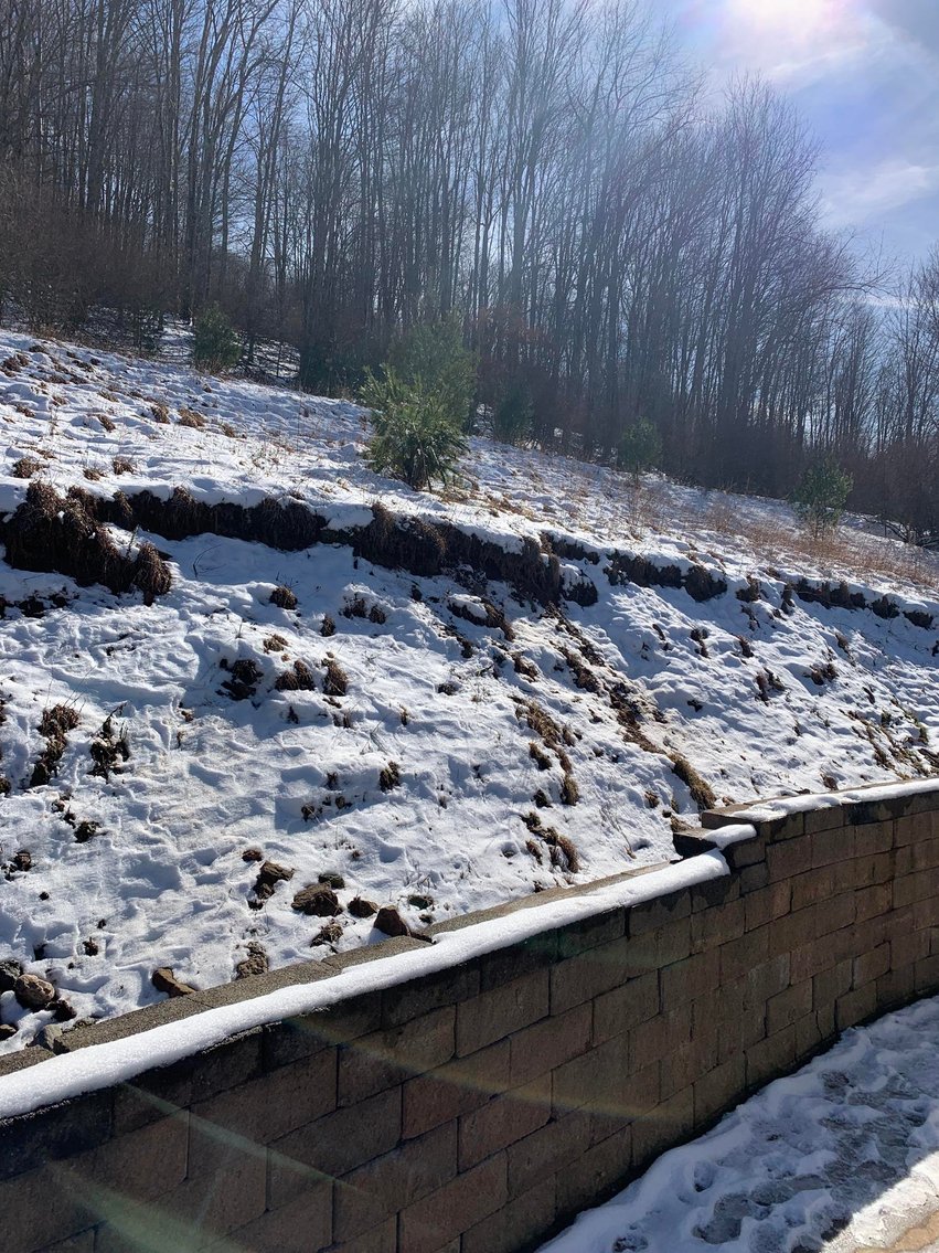 Image for SOLD $96,250 - 4 Bedroom on 4 Acres in Buckhannon