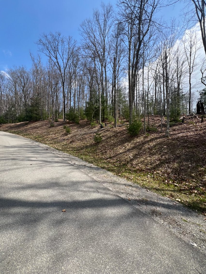 Image for SOLD - 5 Lots in Glade Springs Selling to the Highest Bidders
