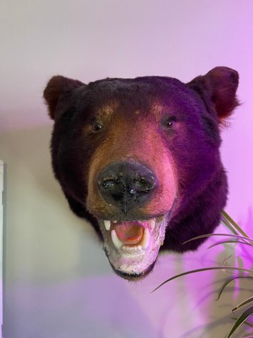 Image for Shady Springs, WV - Riding Lawn Mower, Deep Freezer, Generator, Antiques