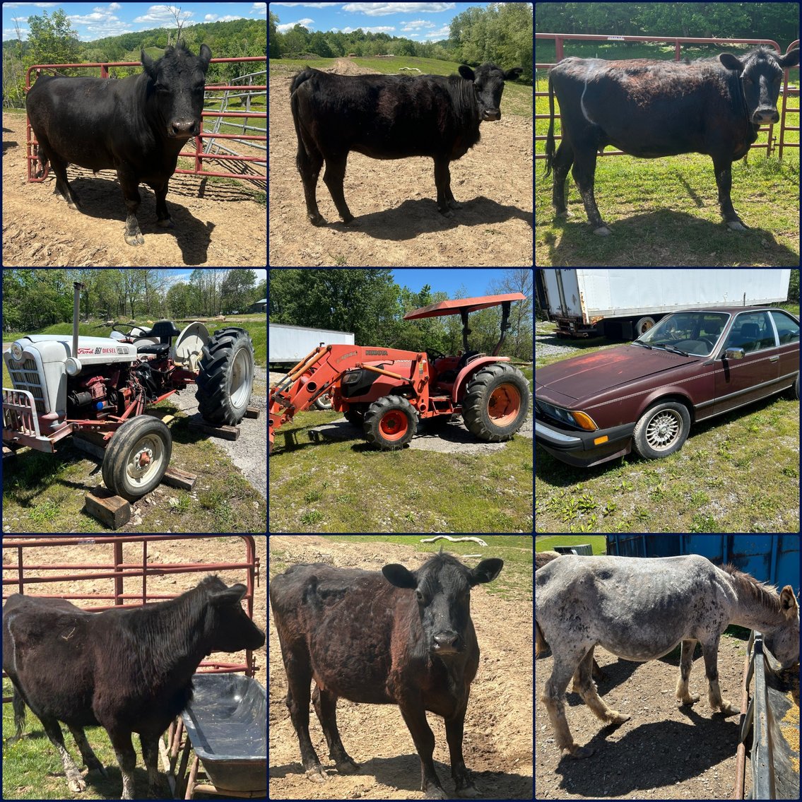 Image for Buckhannon, WV – Farm Equipment, Tractors, BMW 635 CSI, Cattle, Donkeys