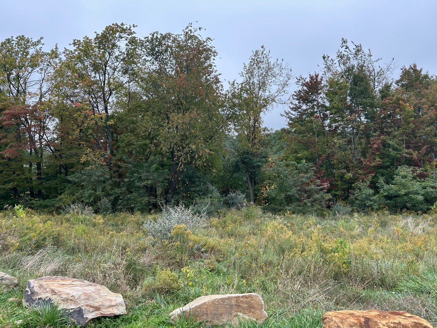 Image for SOLD - Residential Lots Oakhill Estates of Morgantown Selling to the Highest Bidders