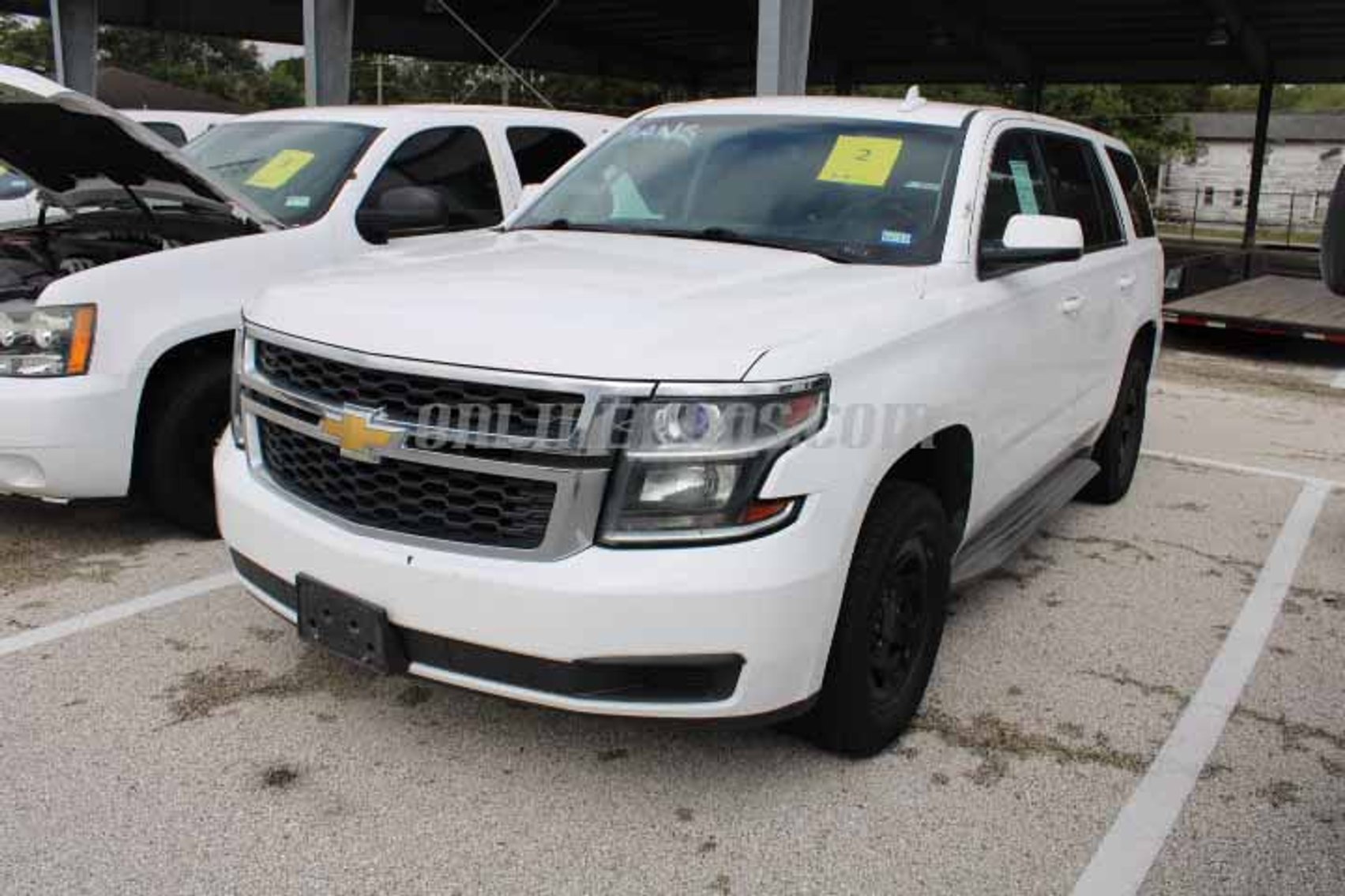 Image for Fort Bend County (Vehicles) - Needville, TX