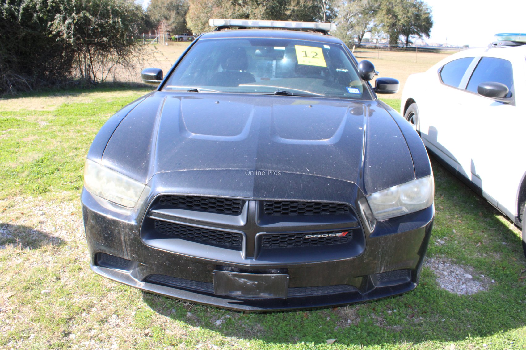 Image for Lamar Consolidated Independent School District (Vehicles) - Rosenberg, TX
