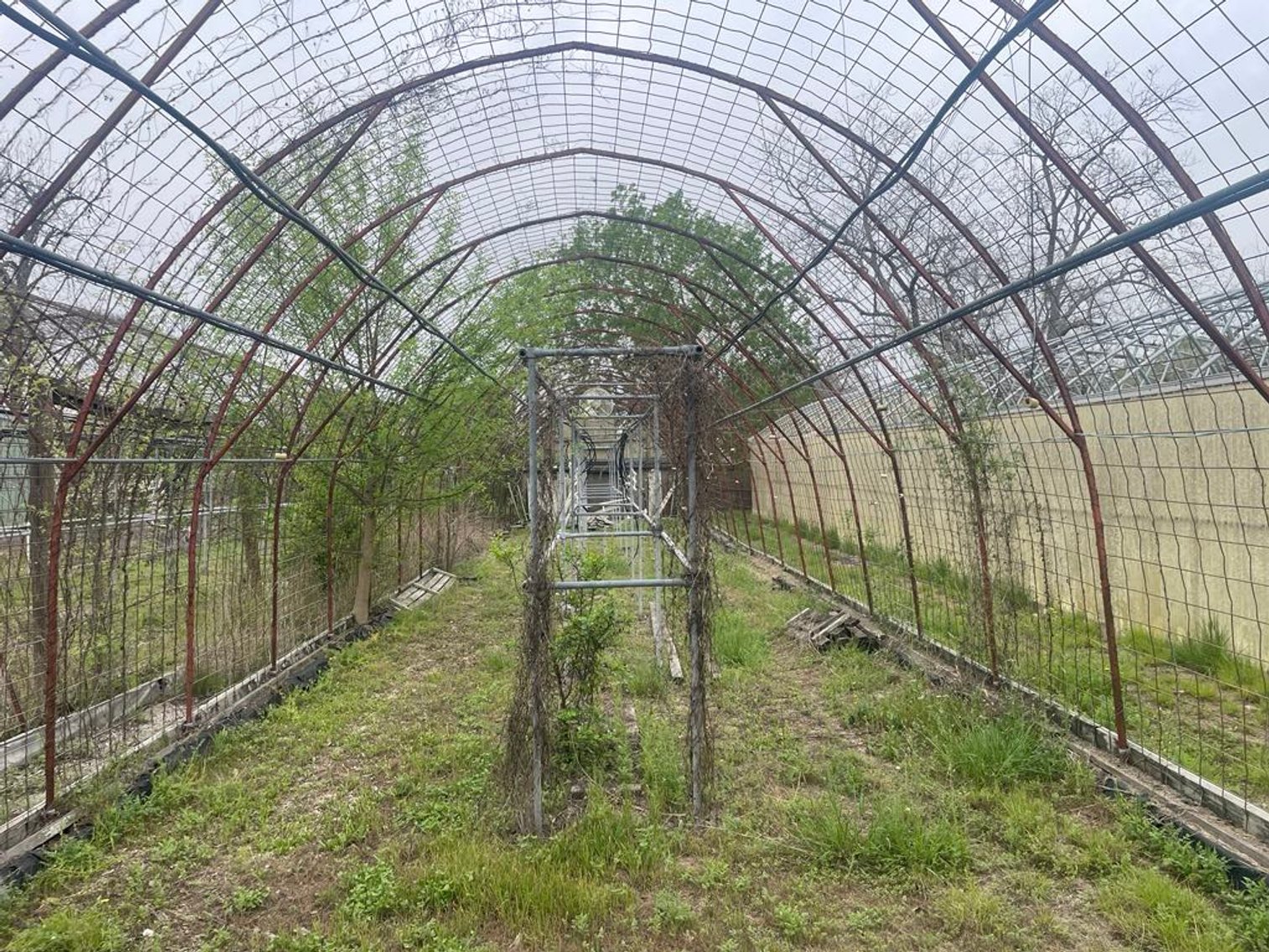 Image for Marion Independent School District (Green Houses) - Marion, TX 78124