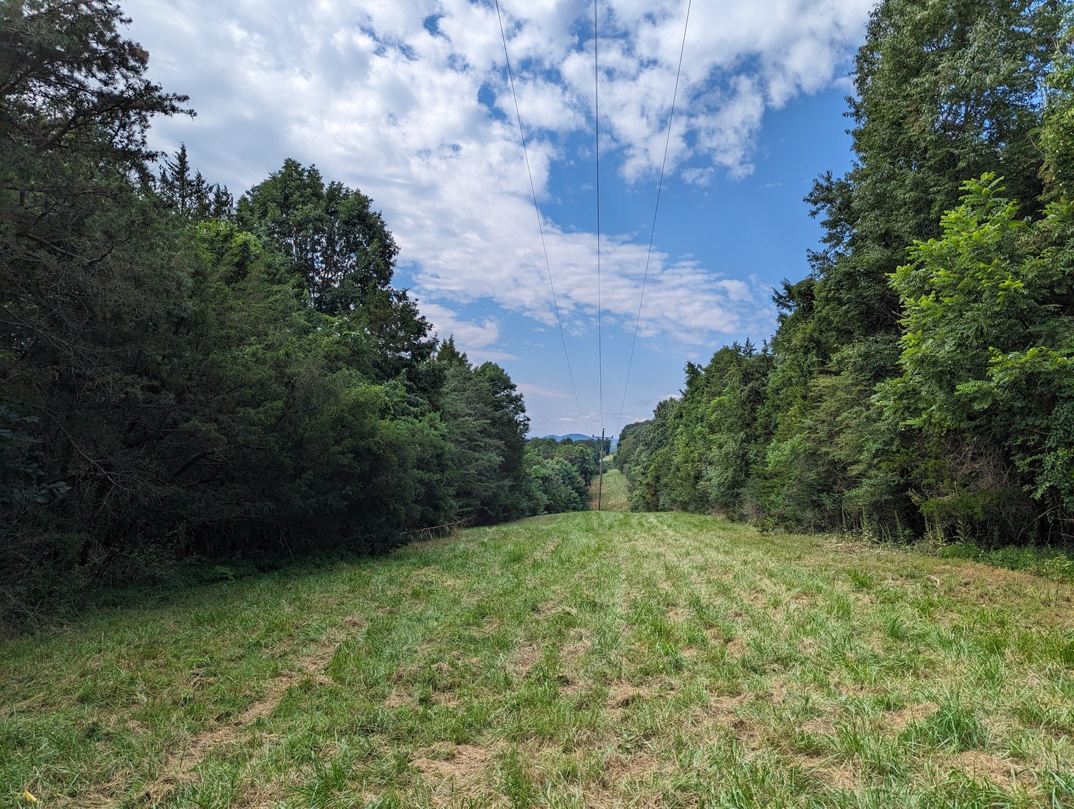 Image for Top Of The Mountain - 55 Acres Zoned SF Residential In Mount Sidney VA