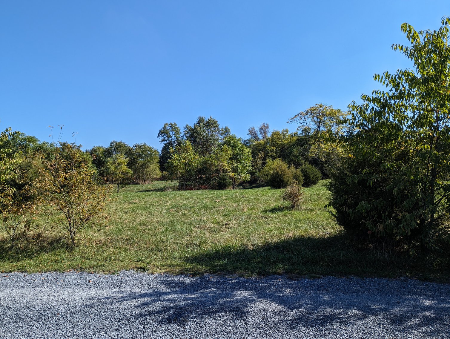 Image for Four Acre Building Lot In Rockingham County