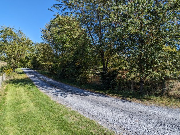 Image for Four Acre Building Lot In Rockingham County