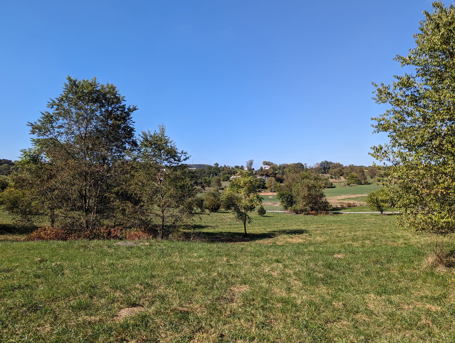 Image for Four Acre Building Lot In Rockingham County