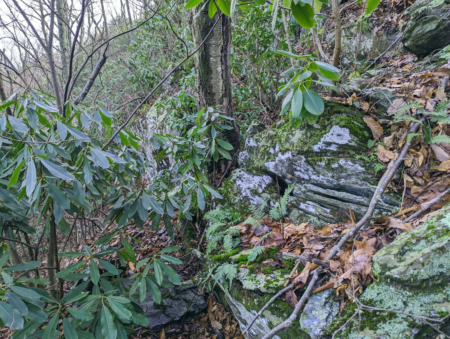 Image for Six Tracts Of Mountain Land - Patrick County VA