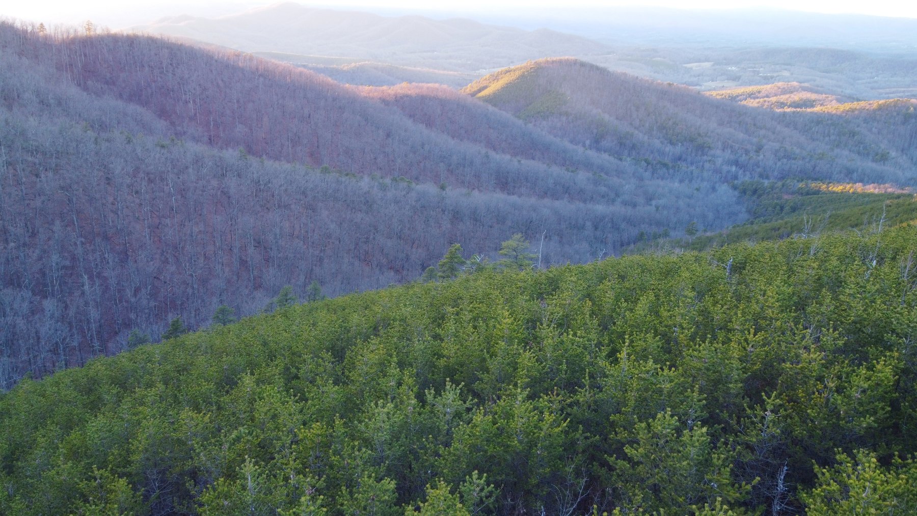 Image for Six Tracts Of Mountain Land - Patrick County VA