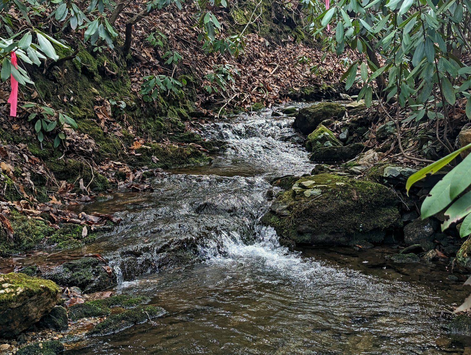 Image for Six Tracts Of Mountain Land - Patrick County VA