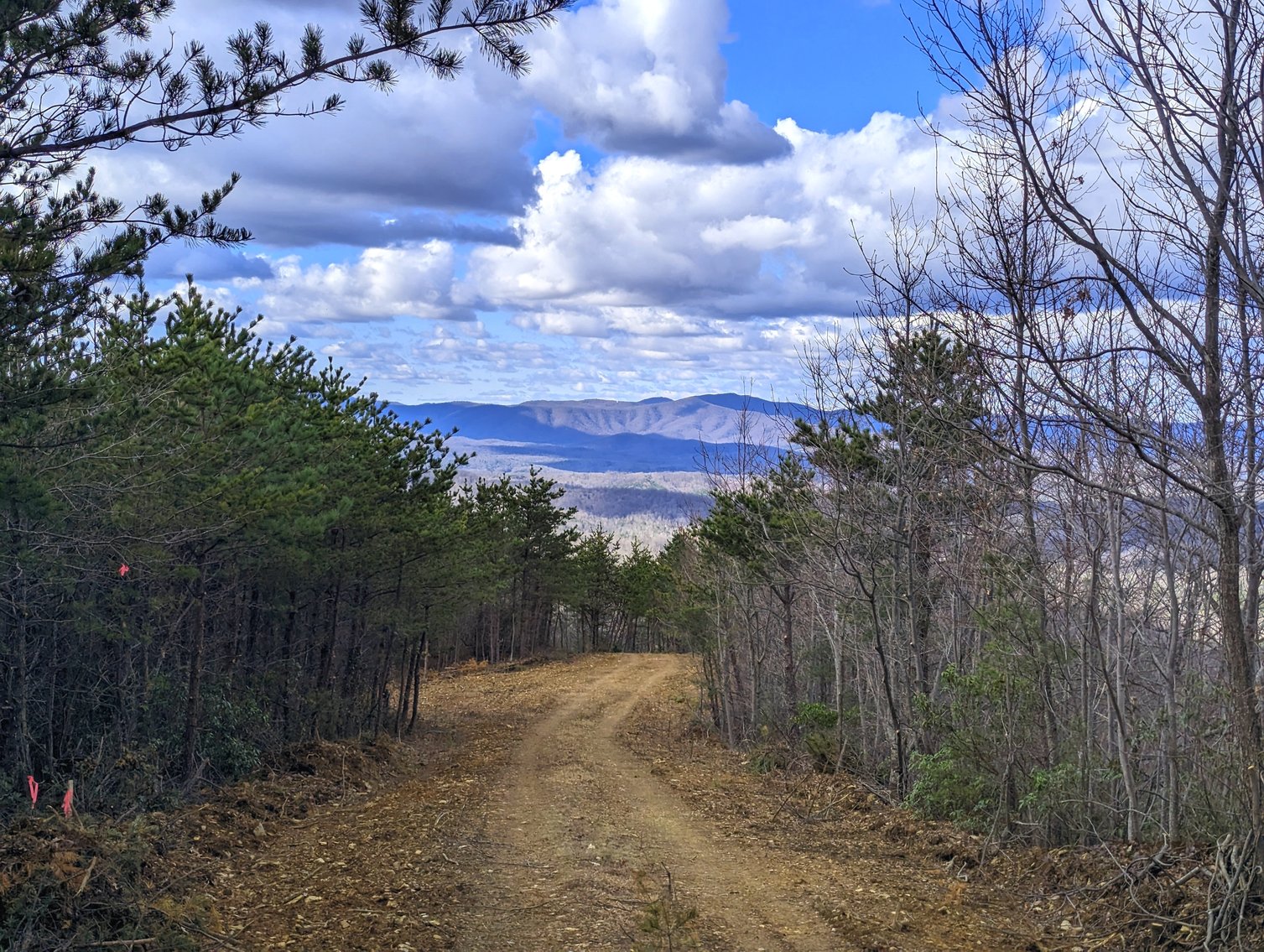 Image for Six Tracts Of Mountain Land - Patrick County VA
