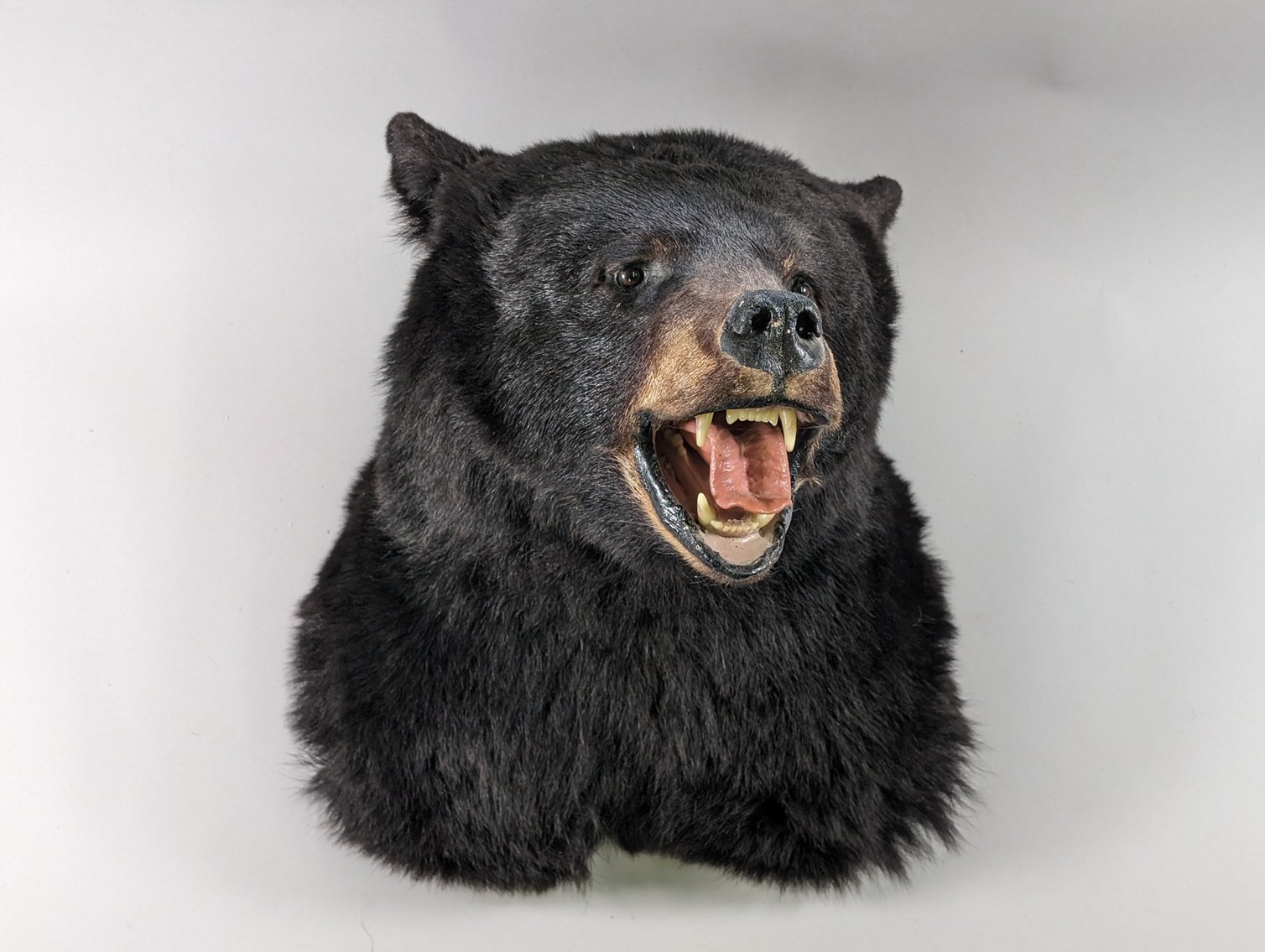 Image for Treasure, Relics, and Antiques Auction