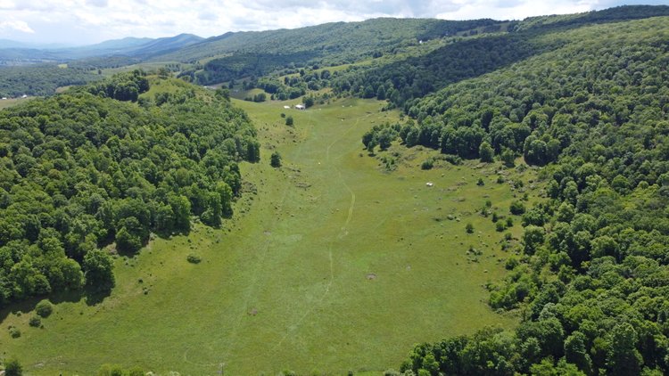 Image for 215  +/- Acre Highland County VA Farm Offered In Two Tracts
