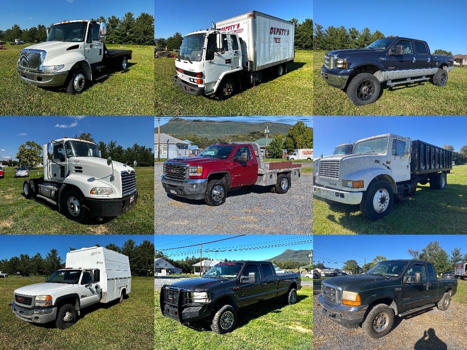 Image for Shenandoah Valley Fall Consignment Auction