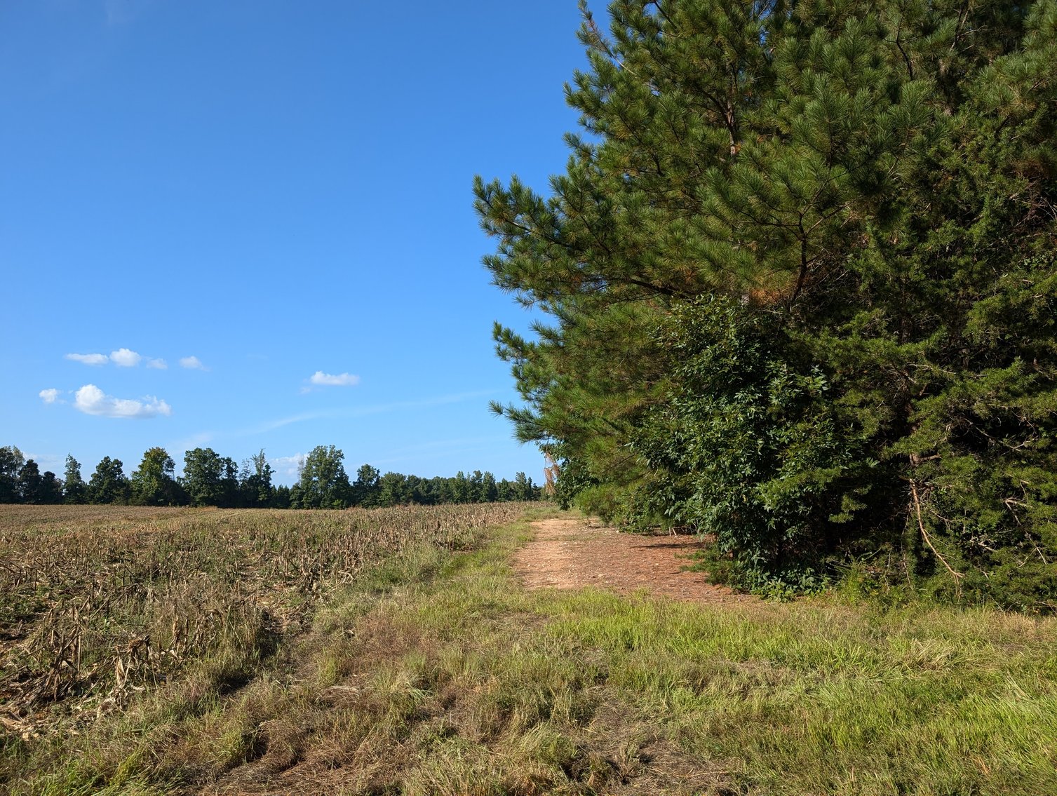 Image for Three Tracts of Land - Halifax County VA