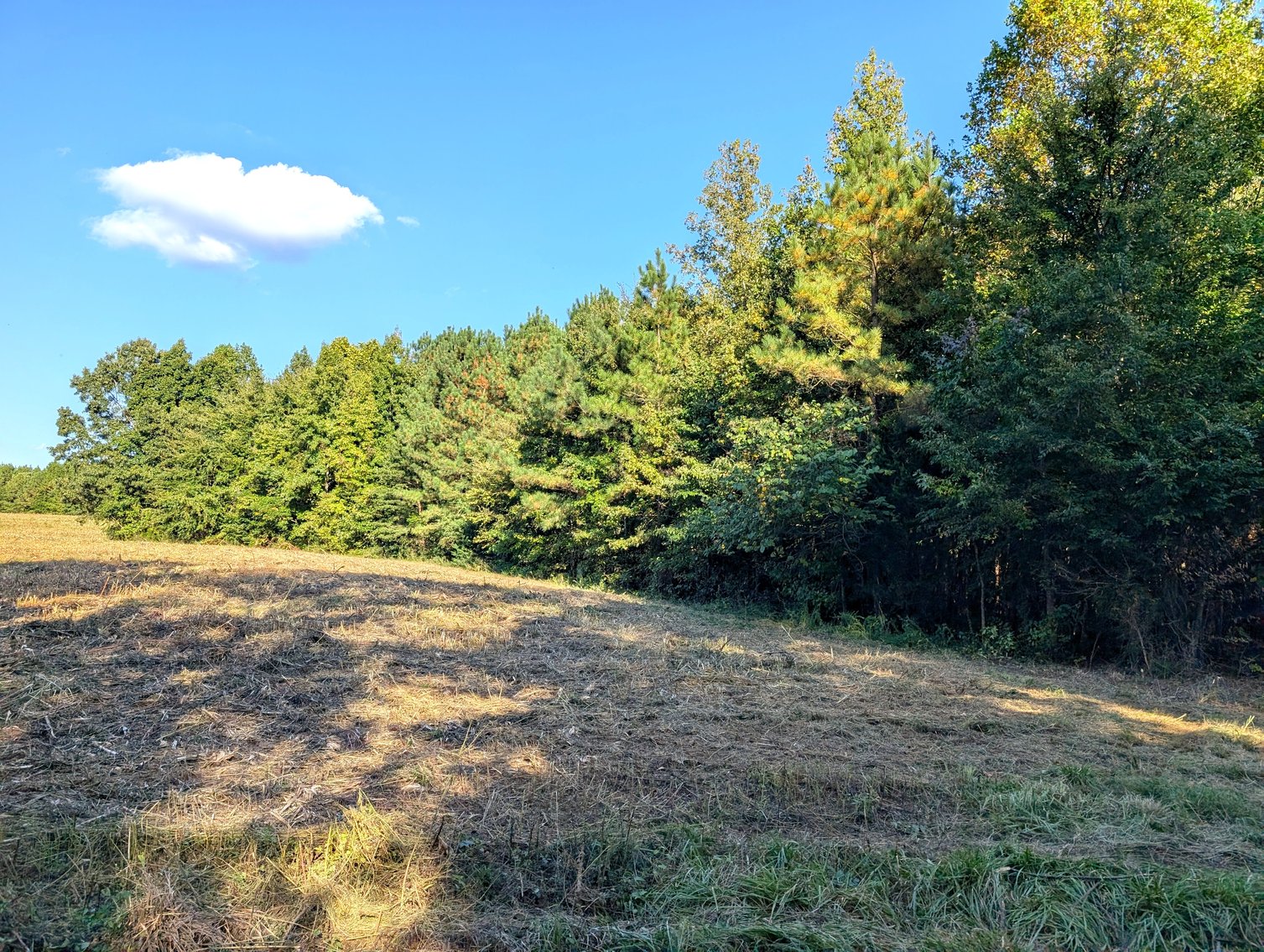 Image for Three Tracts of Land - Halifax County VA