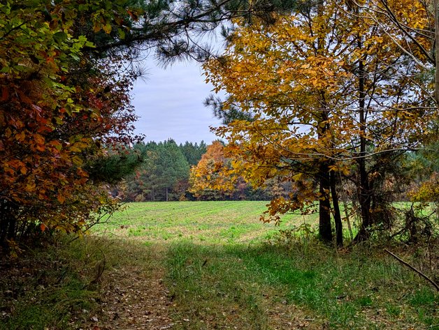 Image for Three Tracts of Land - Halifax County VA