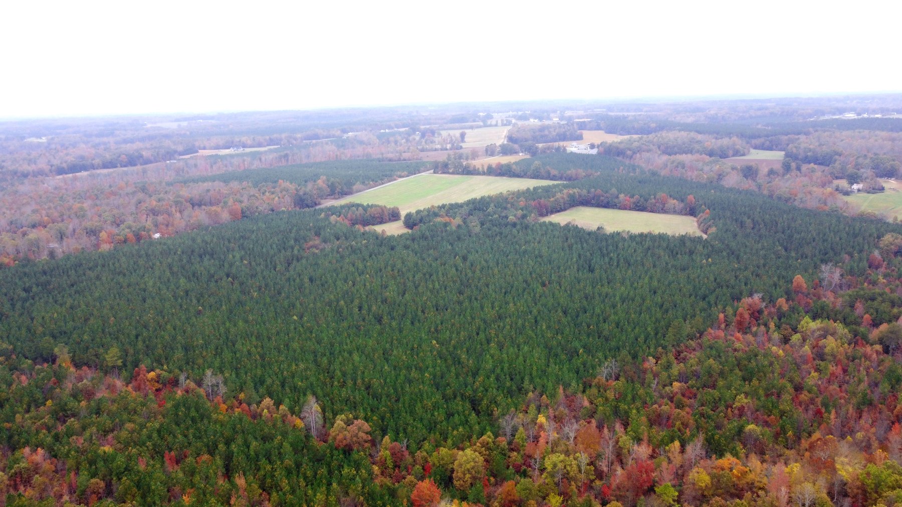 Image for Three Tracts of Land - Halifax County VA