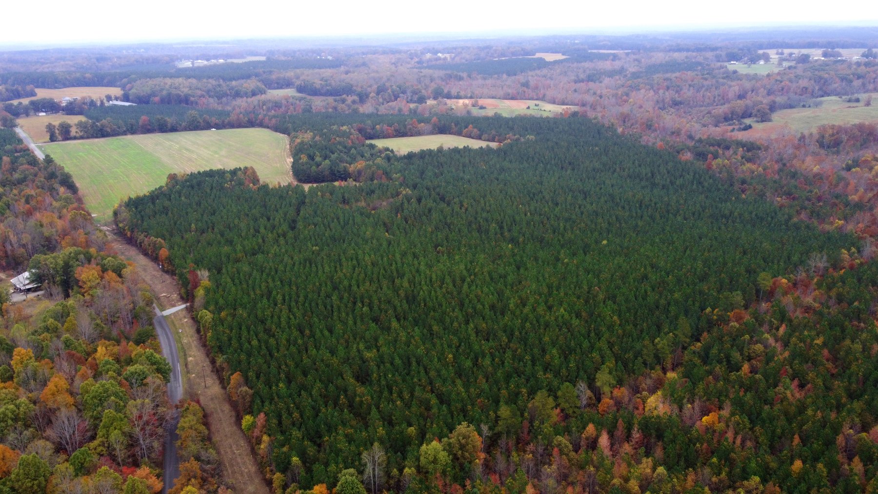 Image for Three Tracts of Land - Halifax County VA