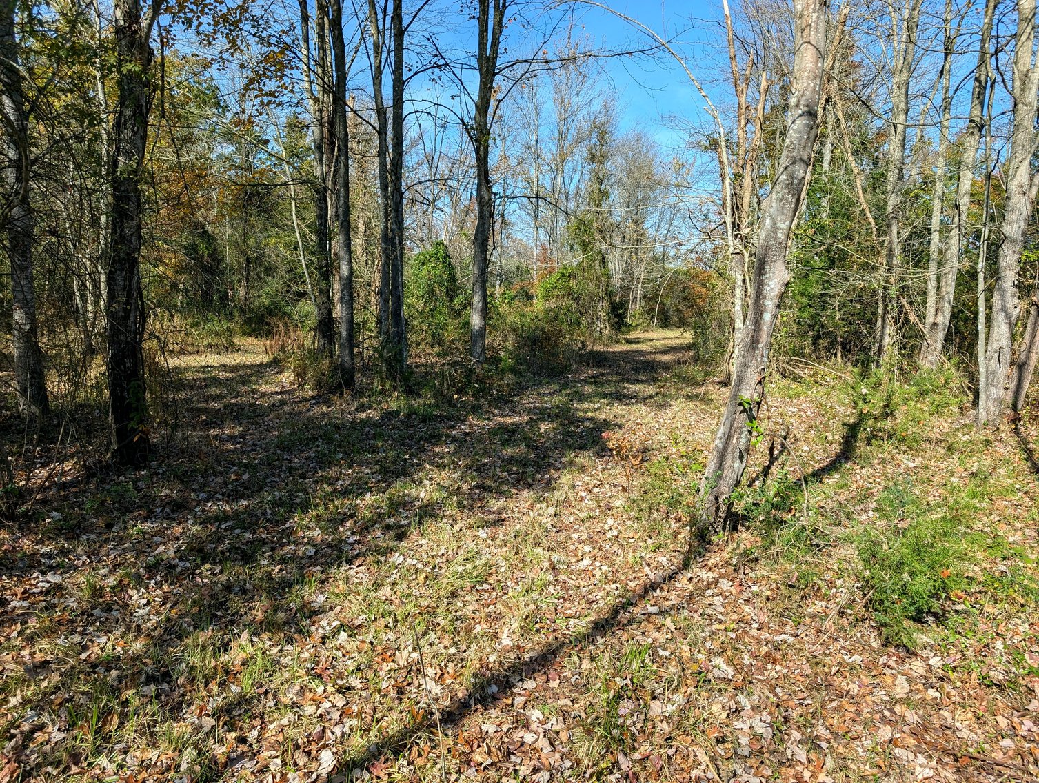 Image for 54.35 +/- Acres Of Land Near Bealeton VA