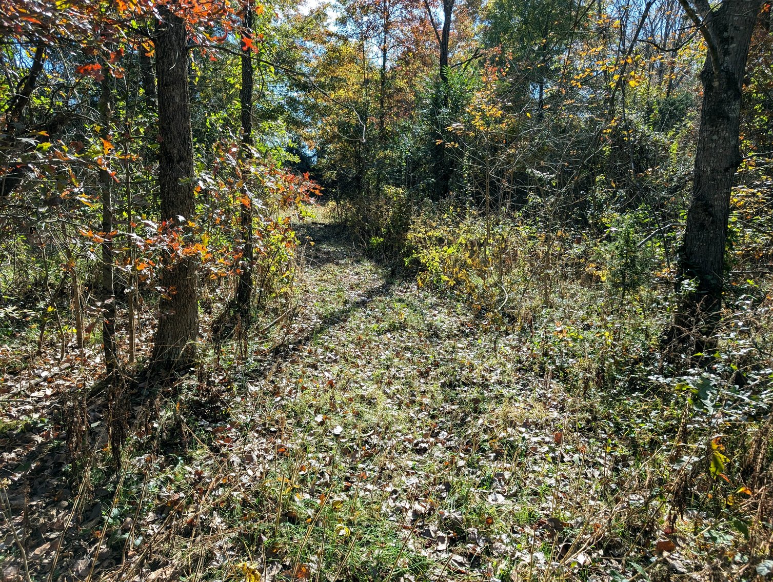 Image for 54.35 +/- Acres Of Land Near Bealeton VA