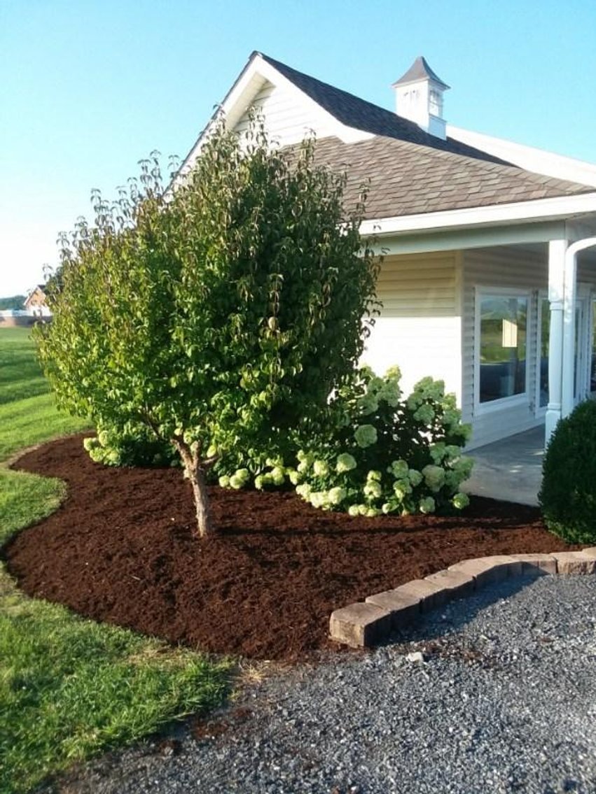 Image for Dayton Mennonite Church Life Center Fundraising Auction