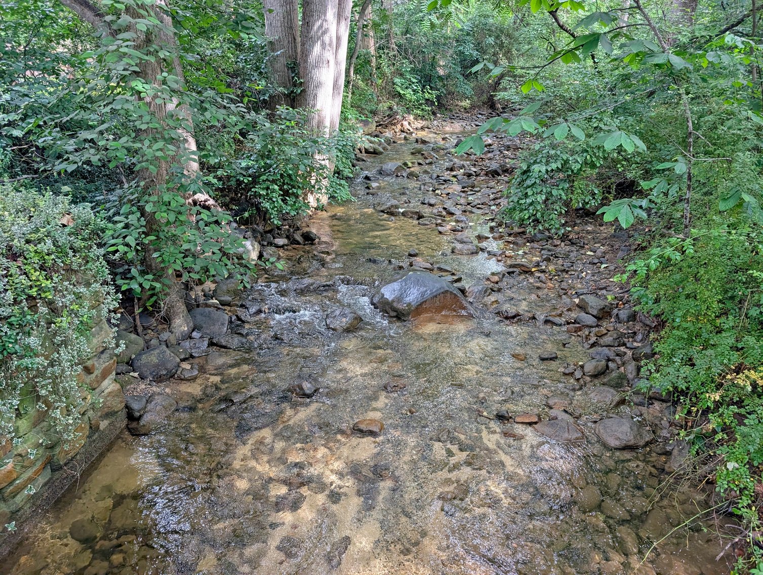 Image for 3 Bedroom Home in McGaheysville VA