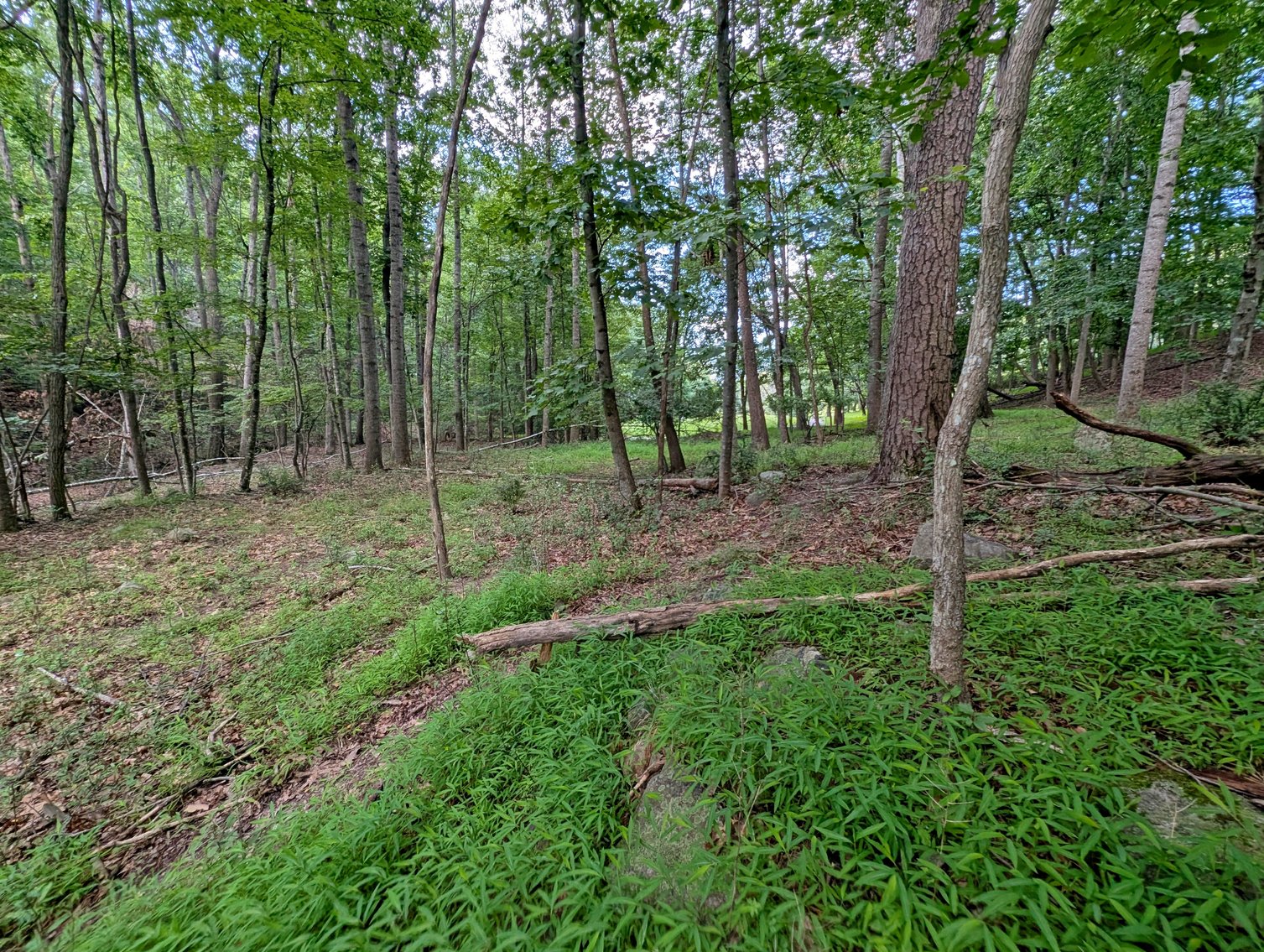 Image for Two Building Lots At Massanutten