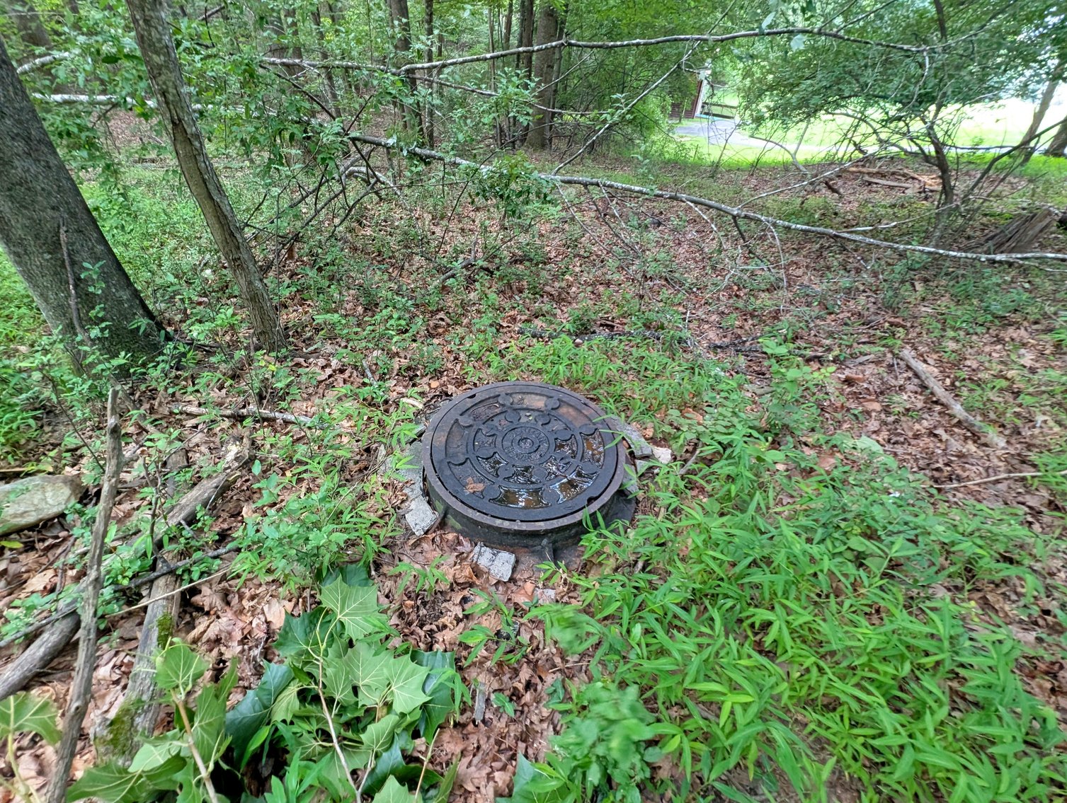 Image for Two Building Lots At Massanutten