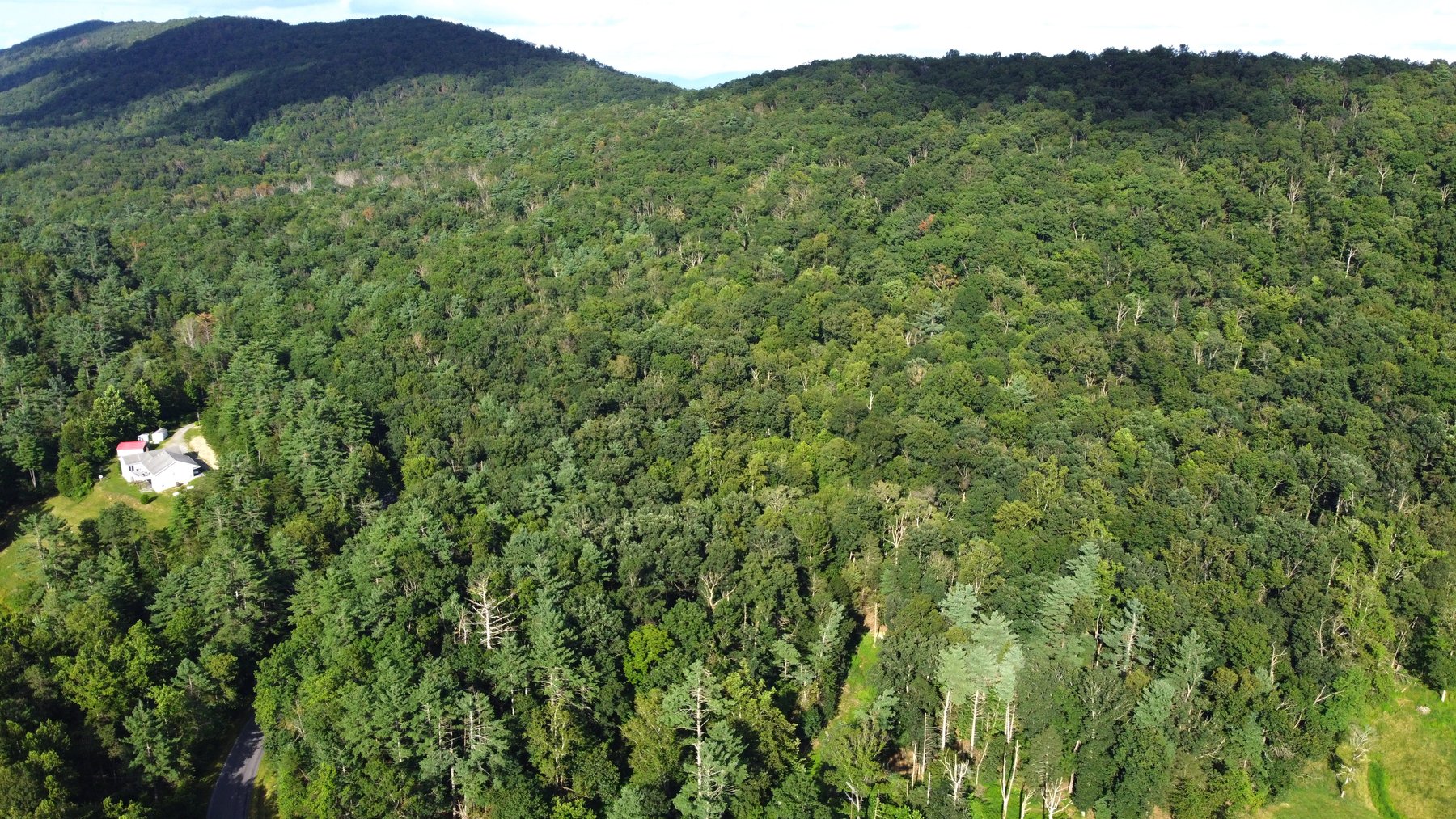 Image for 50+/- Acres Of Land In Rockingham County VA