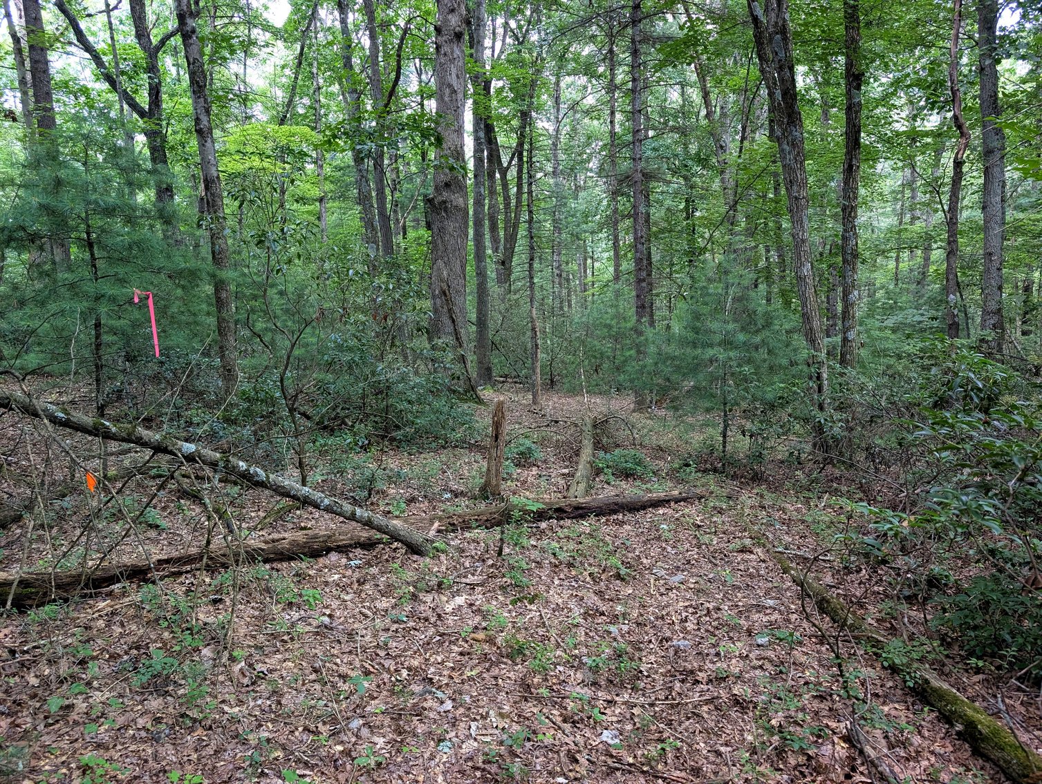 Image for 50+/- Acres Of Land In Rockingham County VA