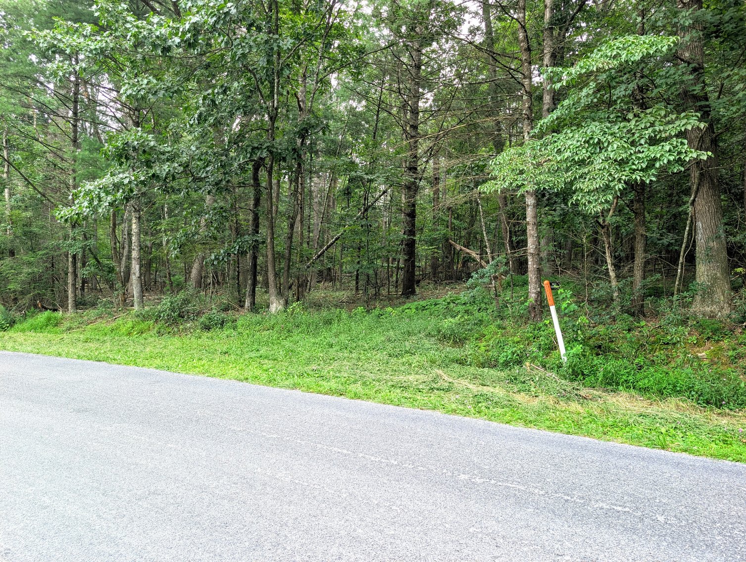 Image for 50+/- Acres Of Land In Rockingham County VA