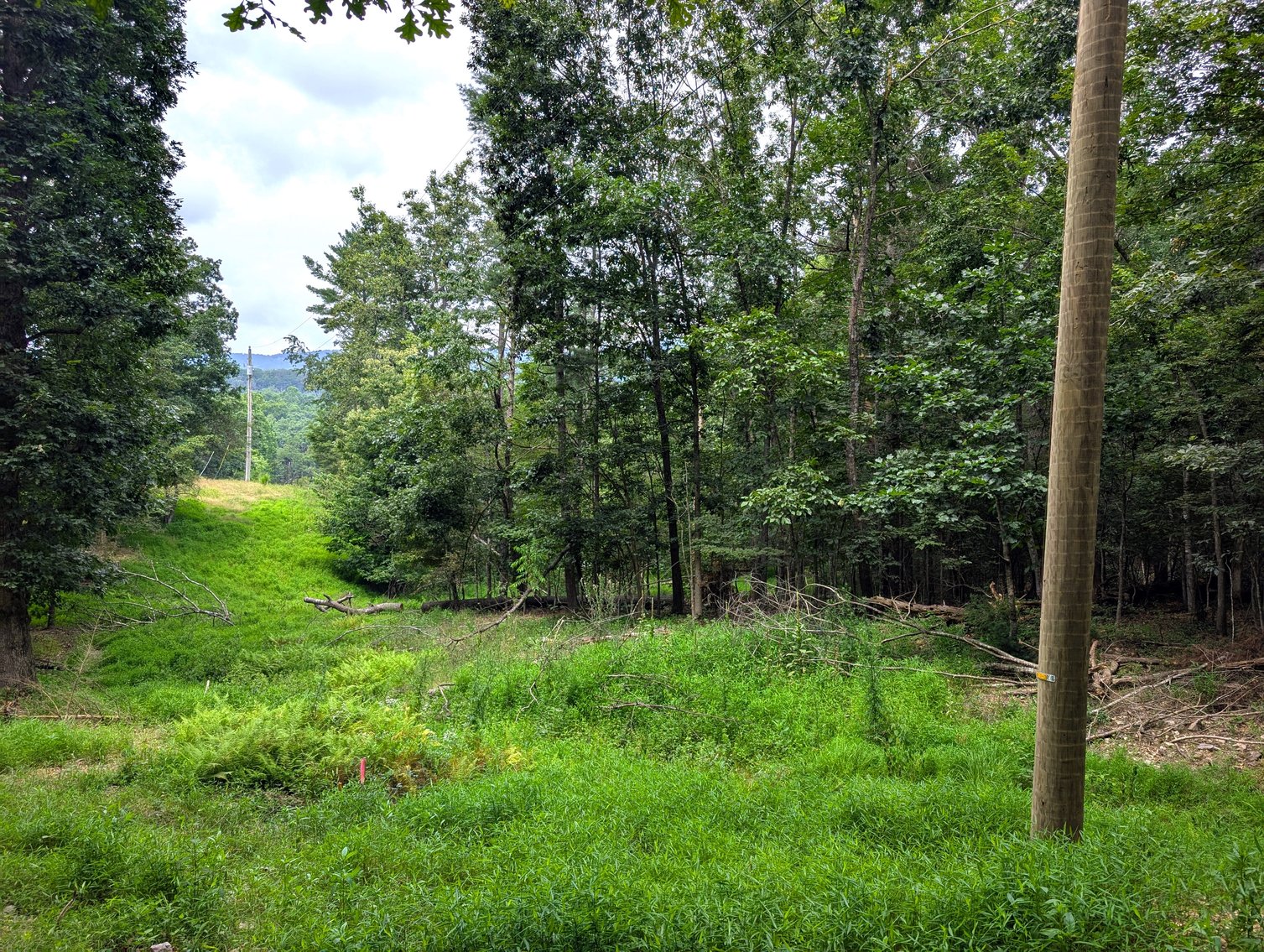 Image for 50+/- Acres Of Land In Rockingham County VA