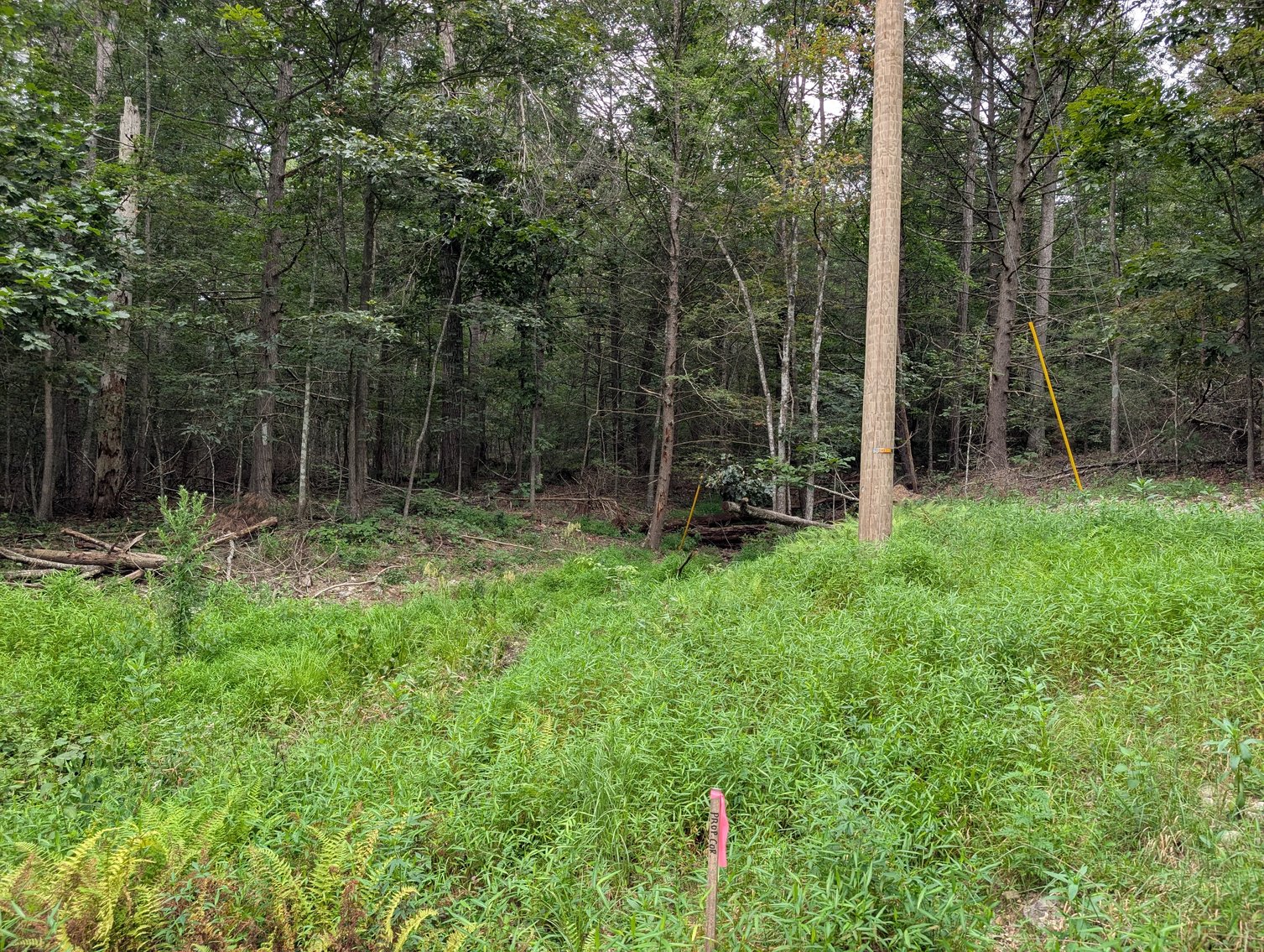 Image for 50+/- Acres Of Land In Rockingham County VA