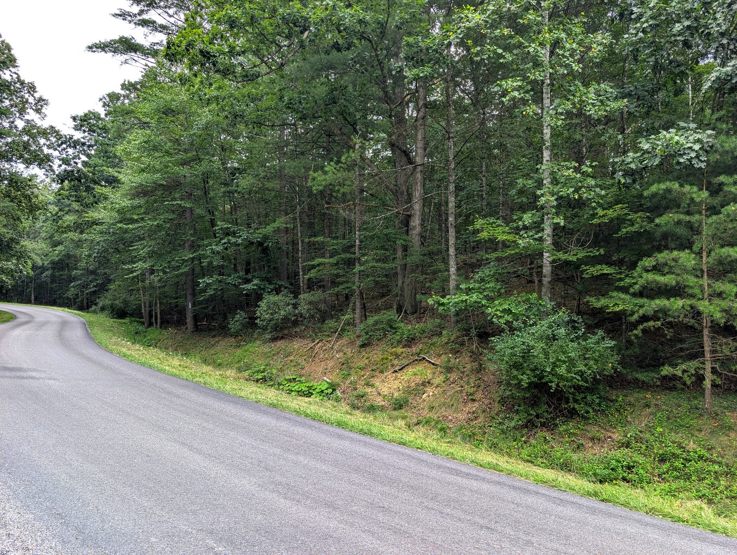 Image for 50+/- Acres Of Land In Rockingham County VA
